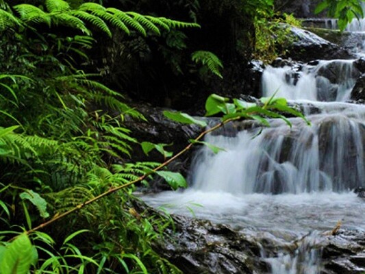 waterfalls in Wayanad, places to visit in kerala, chethalayam waterfalls