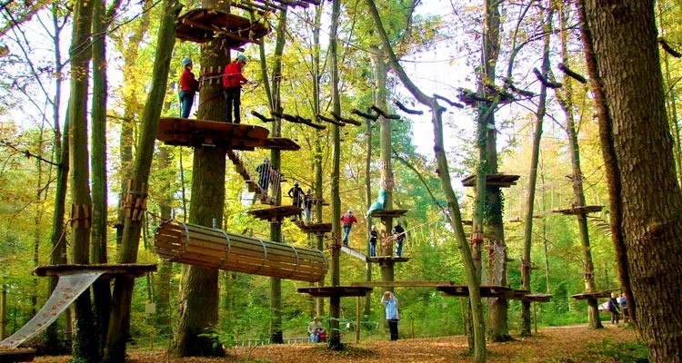 idukki park, fun forest adventure park