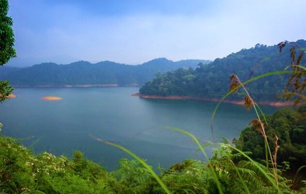 backwater in pathanamthitta, places to visit in kerala, kakki reservir