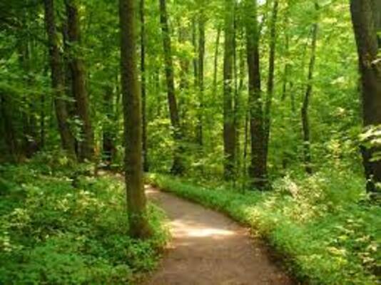 wildlife sanctuary in kasaragod, places to visit in kerala
