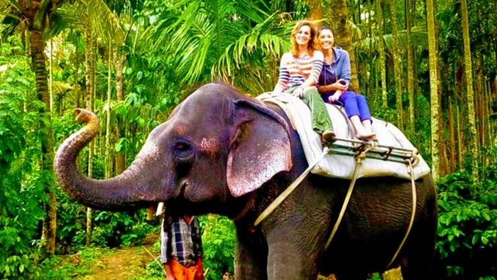 places to visit in ernakulam, places to visit in kerala