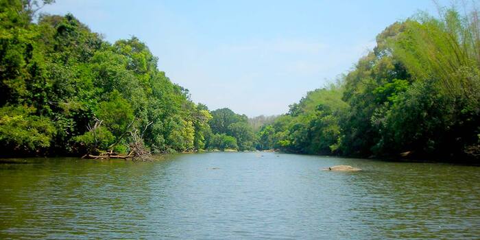 backwaters in Wayanad, kuruva Island, places to visit in kerala