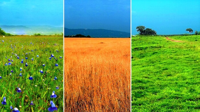 hill stations in Kannur, madayipara, places to visit in kerala