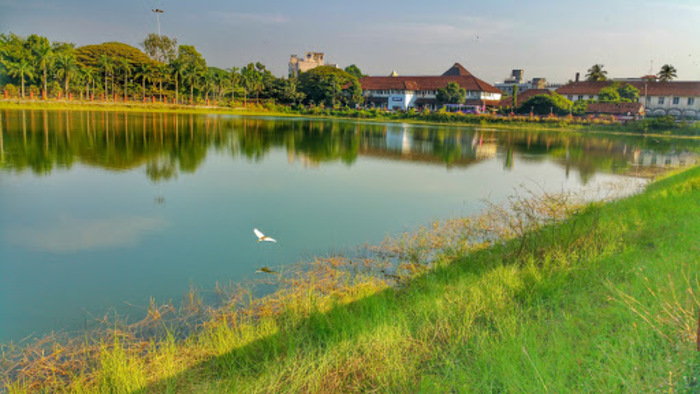 backwaters in kozhikode, places to visit in Kerala, mananchira lake