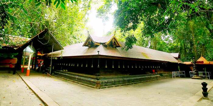 pilgrims in alappuzha, mannarasala temple, tourist place in alappuzha