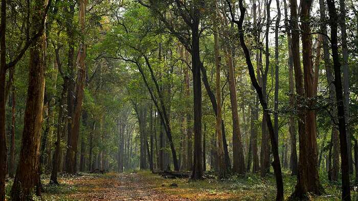 tourist places in malappur, places to visit in kerala, best honeymoon places in kerala, nedumkayam
