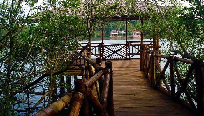 backwaters in Kannur, pappinisseri, places to visit in kerala