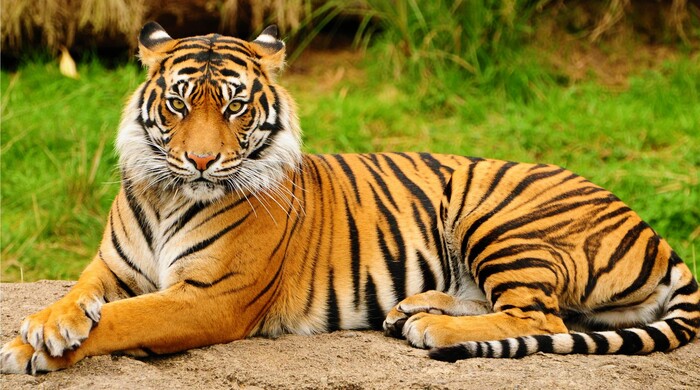places to visit in palakkad, places to visit in kerala, wildlife sanctuary