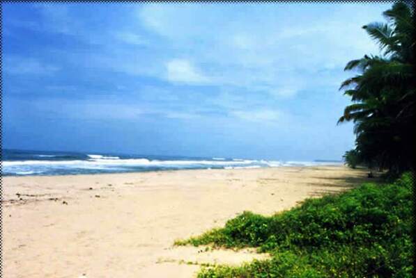 beaches in kozhikode, payyoli, places to visit in kerala