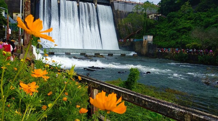 dams in thrissur, peechi dam, places to visit in kerala