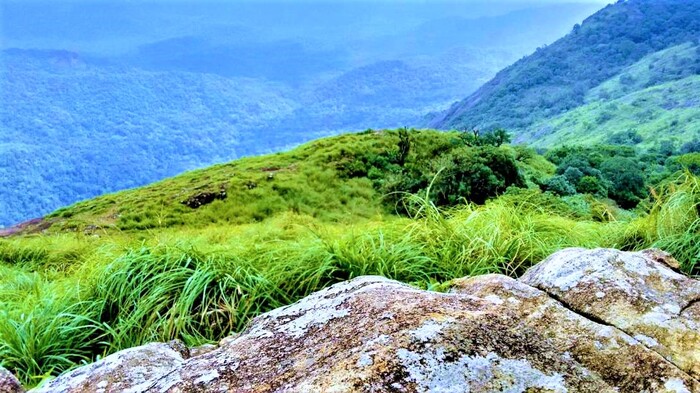 places to visit in trivandrum, ponmudi, best honeymoon places in kerala, places to visit in kerala