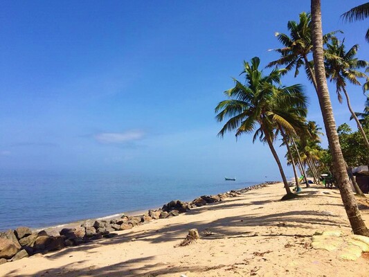 beaches in alappuzha, places to visit in kerala, punnapra beach