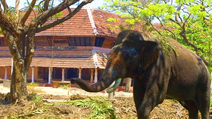 tourist places in thrissur, punnathur kotta