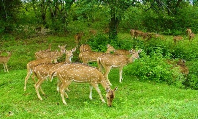 places to visit in kerala