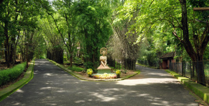 tourist places in malappuram, places to visit in kerala, nilambur teak museum