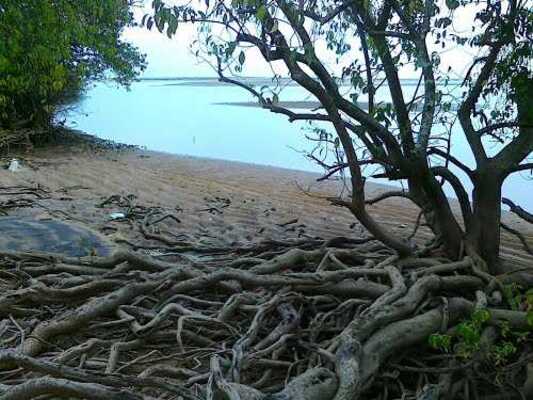 wildlife sanctuary inkasaragod, places to visit in kerala, thalangara children's park
