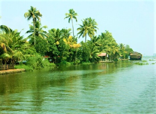 backwaters in kochi, vembanad lake, places to visit in kerala