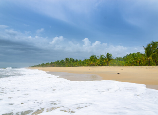beaches in alappuzha, marari beach