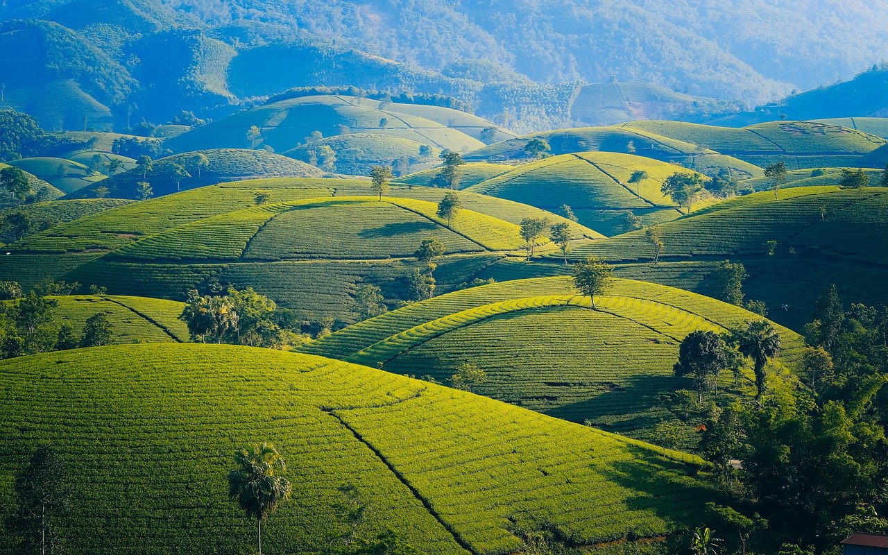 best places in kerala, places to visit in kerala