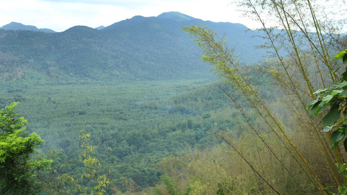 idukki hill station, nadukani, places to visit in kerala, tourist places in kottayam