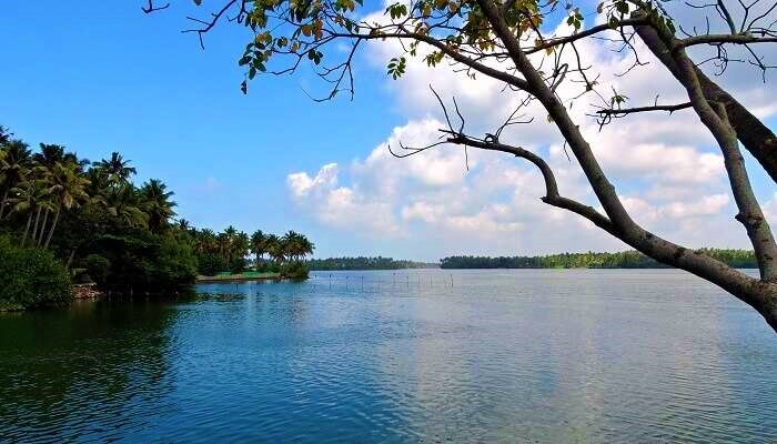 backwaters in kollam, puravur lake, places to visit in kerala