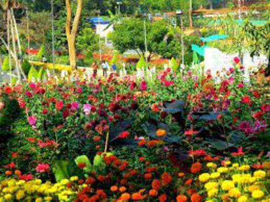 tourist place in wayanad, places to visit in kerala