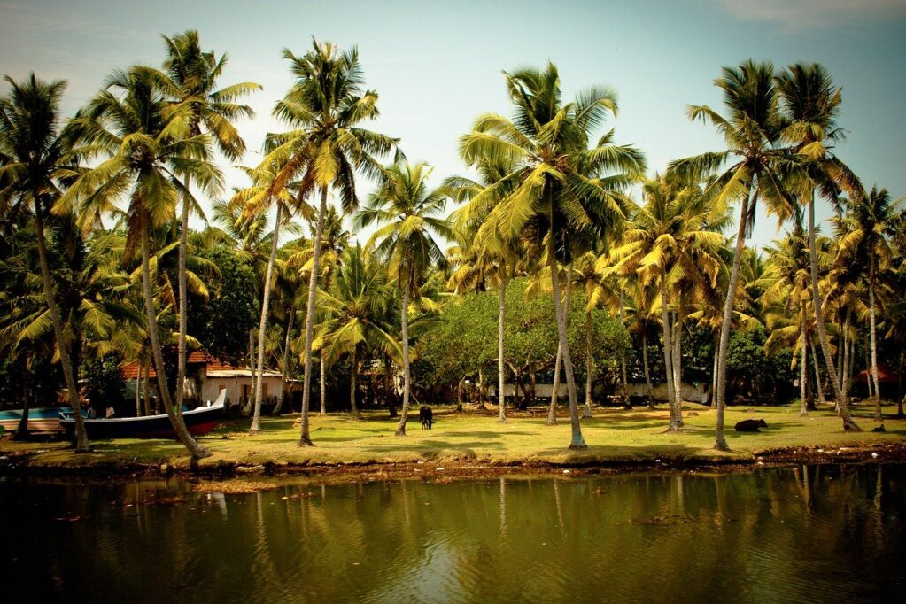 best places in kerala, places to visit in kerala